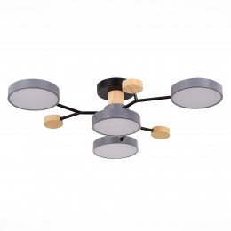 Светильник EVOLUCE SLE6006-702-04