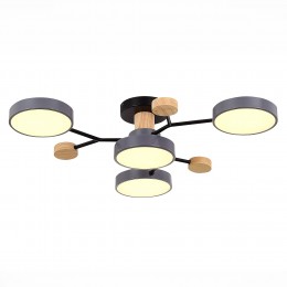 Светильник EVOLUCE SLE6006-702-04