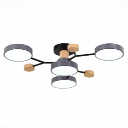 Светильник EVOLUCE SLE6006-702-04