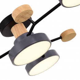 Светильник EVOLUCE SLE6006-702-04