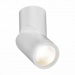 Потолочный светильник ST LUCE ST650.542.10