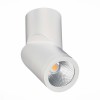 Потолочный светильник ST LUCE ST650.542.10