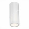 Потолочный светильник ST LUCE ST650.542.10