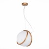 Светильник ST LUCE SL1181.353.01