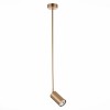 Светильник ST LUCE SL1206.303.01