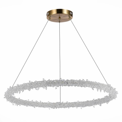 Светильник ST LUCE SL6105.213.01