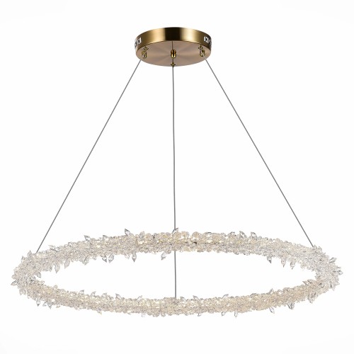 Светильник ST LUCE SL6105.213.01