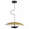Светильник ST LUCE SL6502.203.01
