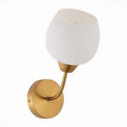 Светильник EVOLUCE SLE1136-301-01