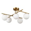 EVOLUCE SLE1195-302-05