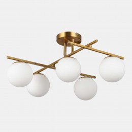 EVOLUCE SLE1195-302-05