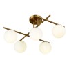 EVOLUCE SLE1195-302-05