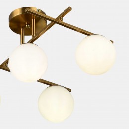 EVOLUCE SLE1195-302-05