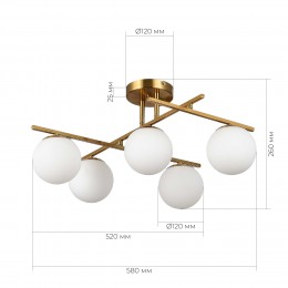 EVOLUCE SLE1195-302-05