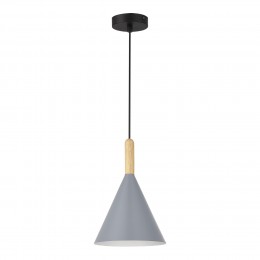 Светильник EVOLUCE SLE1255-423-01