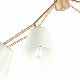 Светильник EVOLUCE SLE155902-08