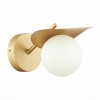 Светильник EVOLUCE SLE220501-01