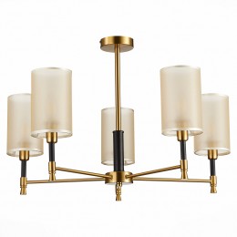 Светильник EVOLUCE SLE300302-05