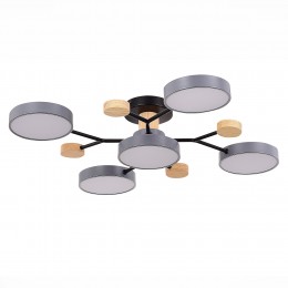 Светильник EVOLUCE SLE6006-702-05