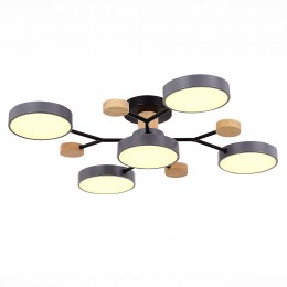 Светильник EVOLUCE SLE6006-702-05