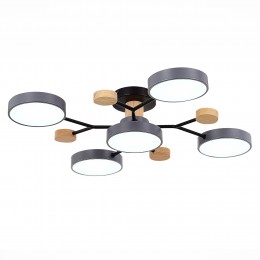 Светильник EVOLUCE SLE6006-702-05