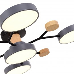 Светильник EVOLUCE SLE6006-702-05