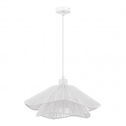 EVOLUCE SLE6023-503-01