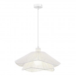 EVOLUCE SLE6023-503-01