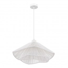 EVOLUCE SLE6023-503-01