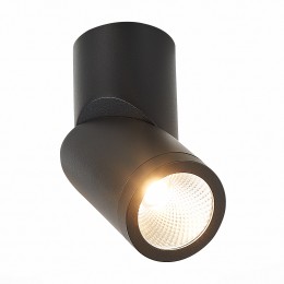 Потолочный светильник ST LUCE ST650.442.10
