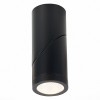 Потолочный светильник ST LUCE ST650.442.10