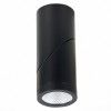 Потолочный светильник ST LUCE ST650.442.10