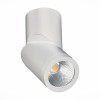 Потолочный светильник ST LUCE ST650.532.10