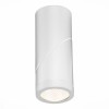 Потолочный светильник ST LUCE ST650.532.10