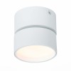 Потолочный светильник ST LUCE ST651.532.09