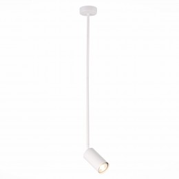 Светильник ST LUCE SL1206.503.01