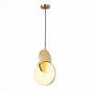 Светильник ST LUCE SL6107.203.01