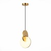 Светильник ST LUCE SL6107.213.01
