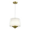 Светильник ST LUCE SL6127.303.01