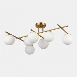 EVOLUCE SLE1195-302-07