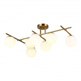 EVOLUCE SLE1195-302-07