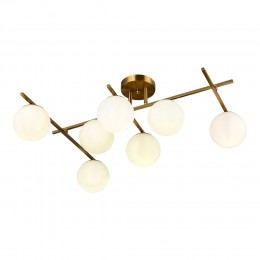 EVOLUCE SLE1195-302-07