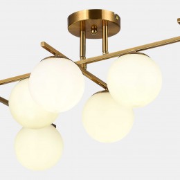 EVOLUCE SLE1195-302-07