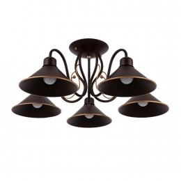 Светильник EVOLUCE SLE120402-05