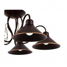 Светильник EVOLUCE SLE120402-05