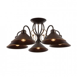 Светильник EVOLUCE SLE120402-05