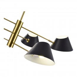 Светильник EVOLUCE SLE1253-343-06