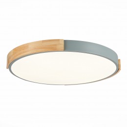 Светильник EVOLUCE SLE201372-01