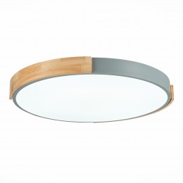 Светильник EVOLUCE SLE201372-01