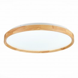 Светильник EVOLUCE SLE201382-01